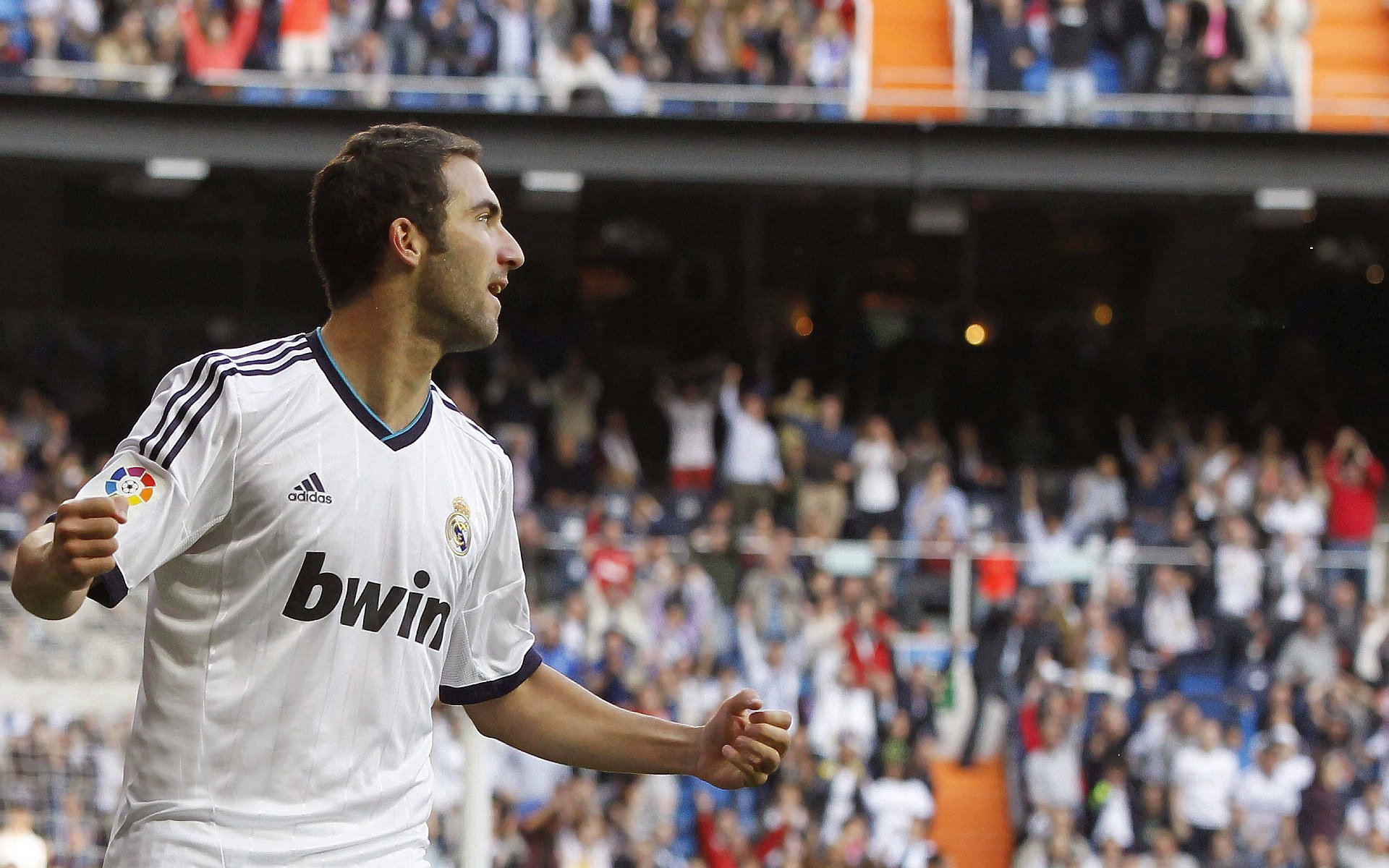 “武术精英汇聚高新体育中心，冠军之争即将上演”